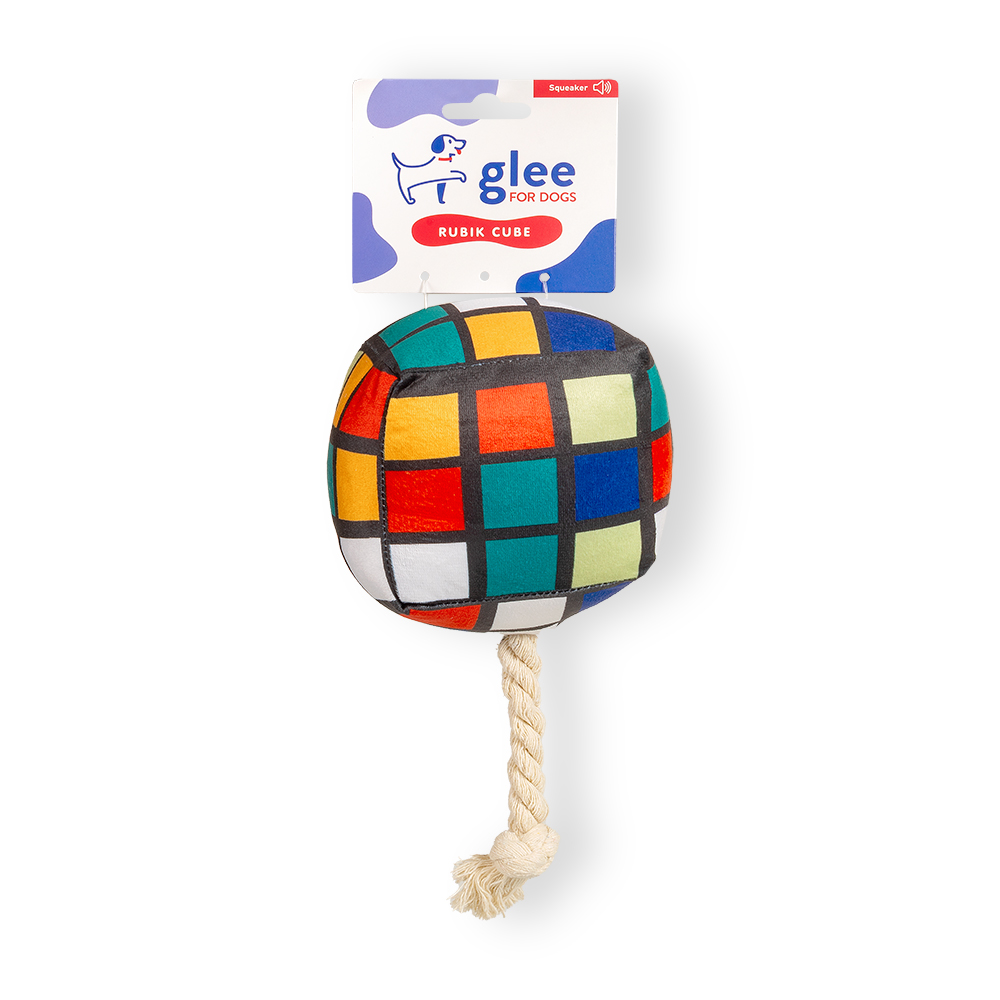 Glee Rubic Cube