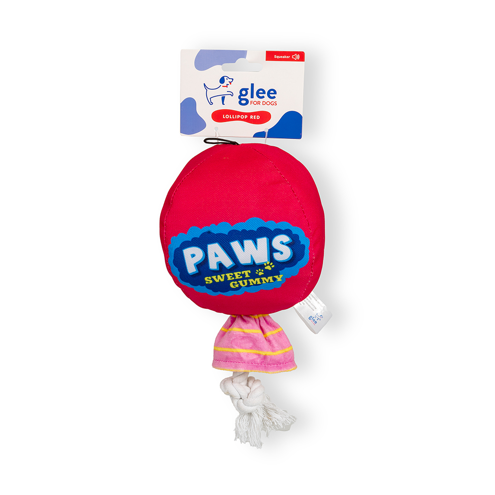 Glee Lollipop Rope Squeaky